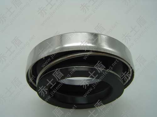 污水泵機械密封 污水泵機械密封.jpg